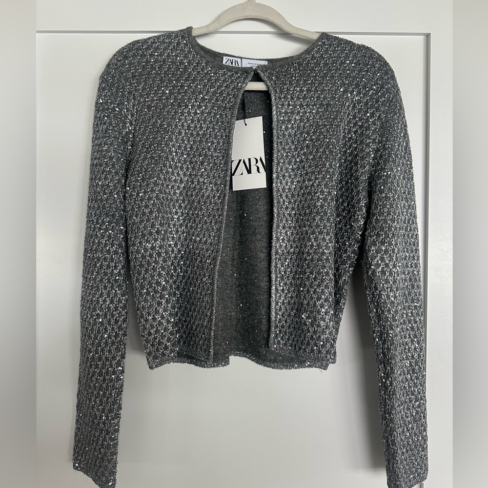 Zara Shimmering Silver Knit Sweater